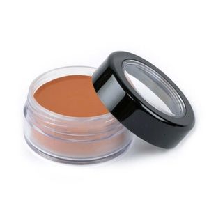 PICTURE PERFECT FOUNDATION – ORIGINAL (SUN WORSHIP TAN)